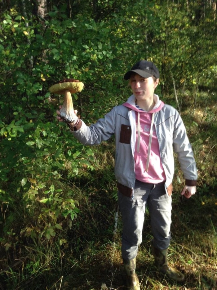 Грибник подмосковья