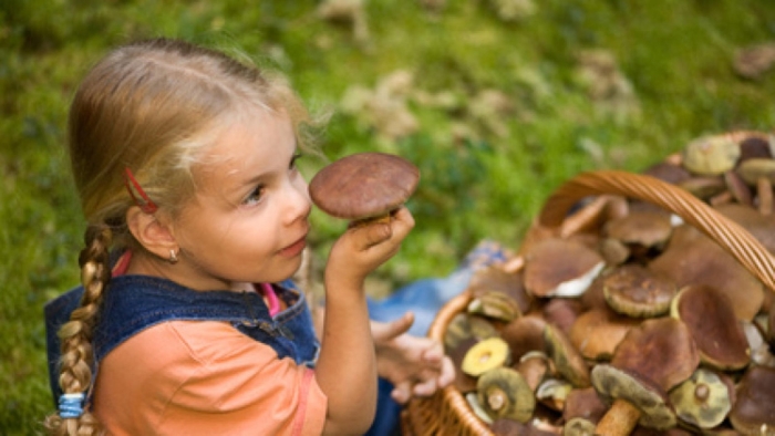 Грибы детям