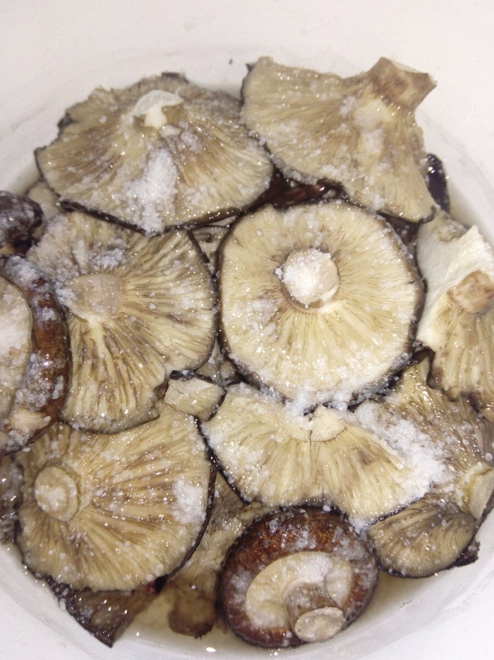 Черные грузди чернушка