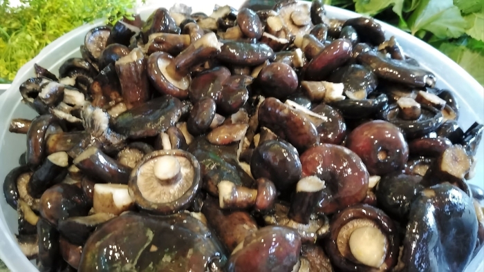 Грибы грузди черные соленые