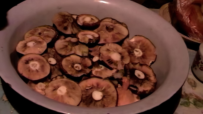 Свинушка гриб солка