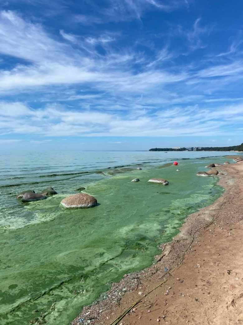 Финский залив Питер