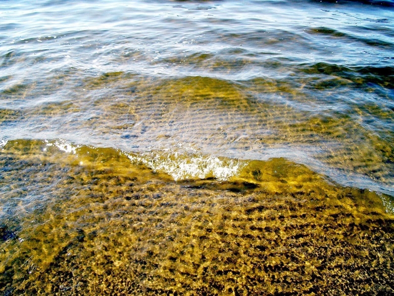 Зеленая вода в финском заливе