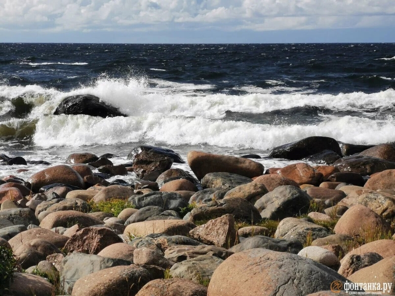 Балтийское море финский залив санкт-петербург
