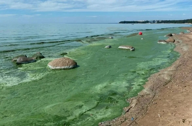 Санкт петербург финский залив