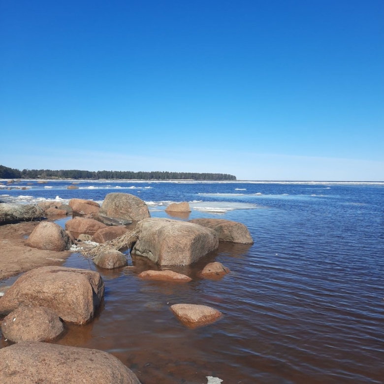 Котлин финский залив