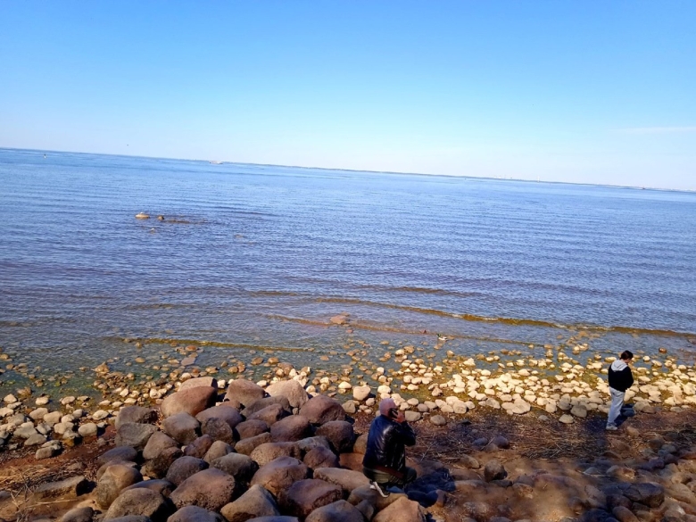 Финский залив