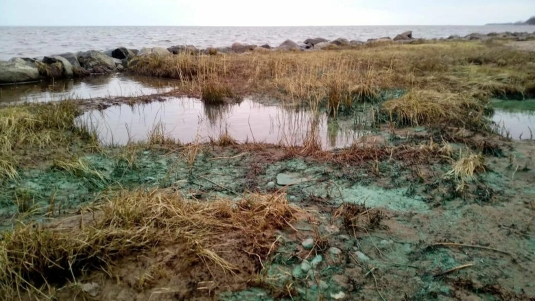 Загрязнение финского залива