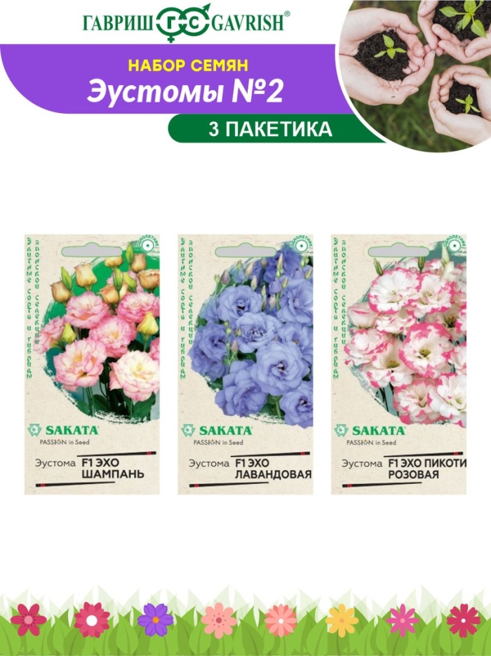 Эустома эхо пикоти гавриш