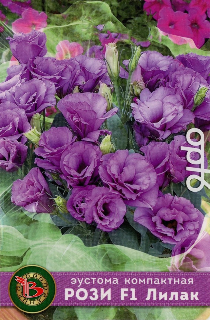 Рози лилак эустома махровая