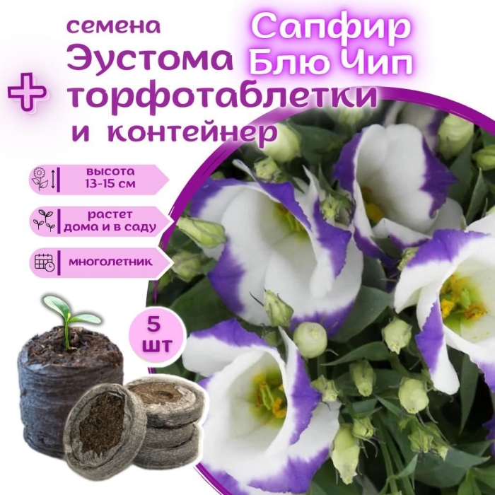 Эустома сапфир блю чип