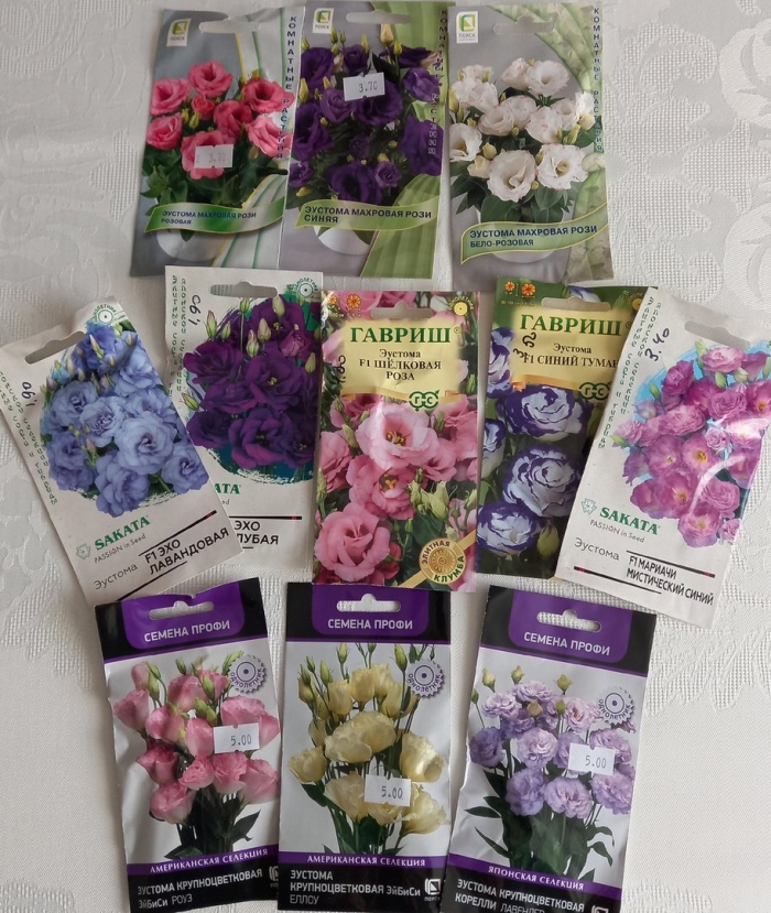 Эустома махровая рози