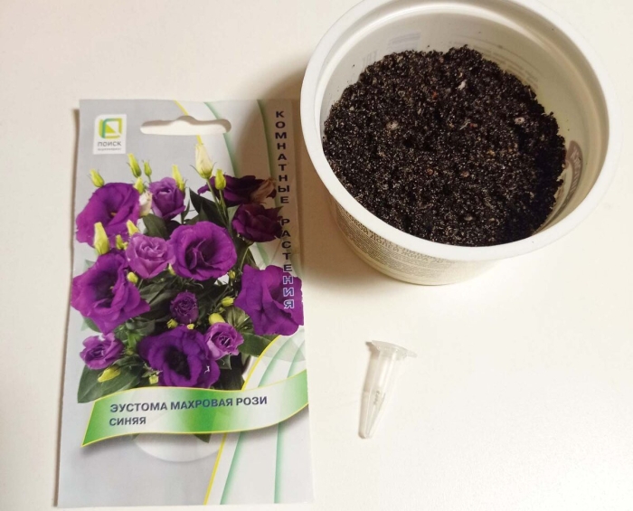 Эустома махровая рози синяя