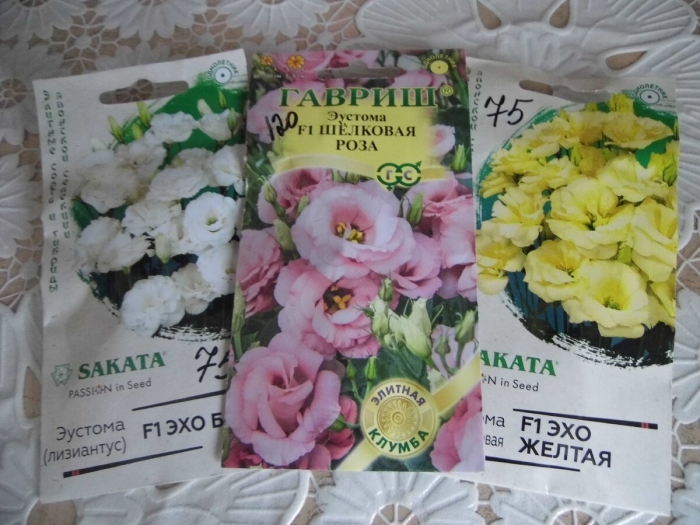 Гавриш эустома эхо желтая f1