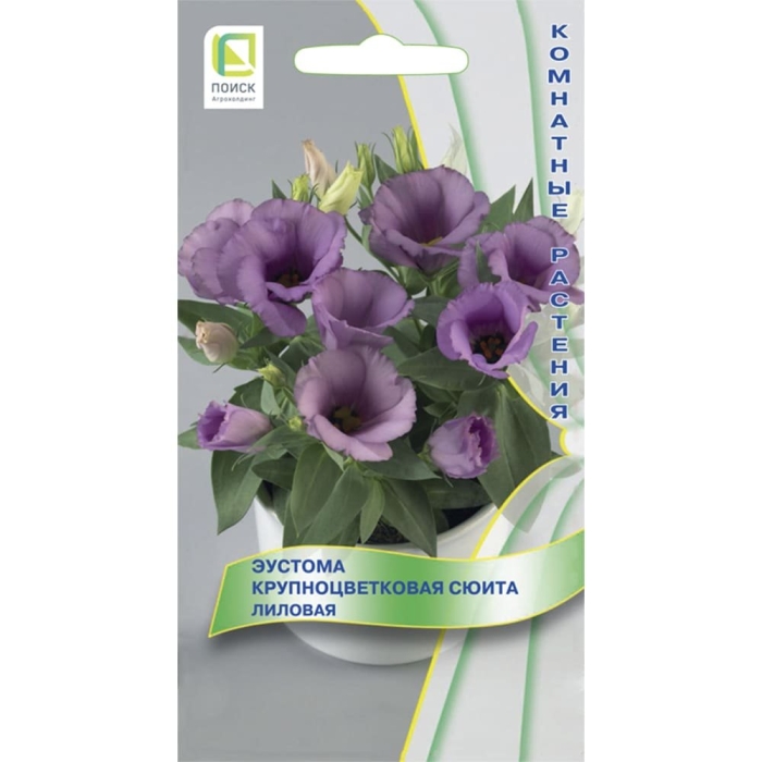 Эустома крупноцветковая сюита лиловая
