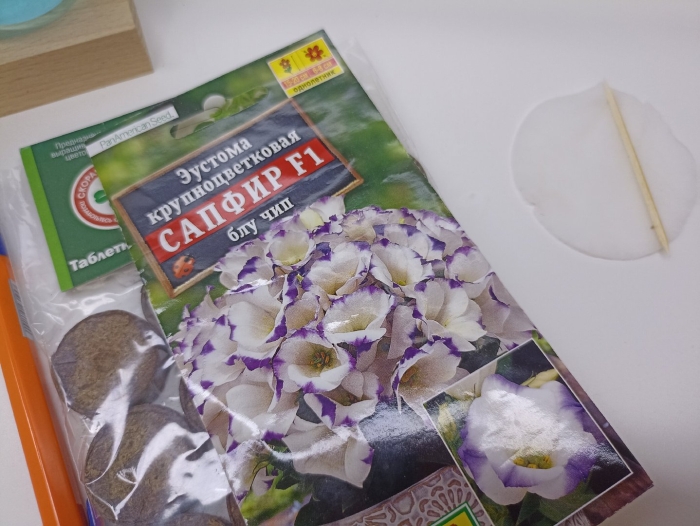 Эустома карликовая