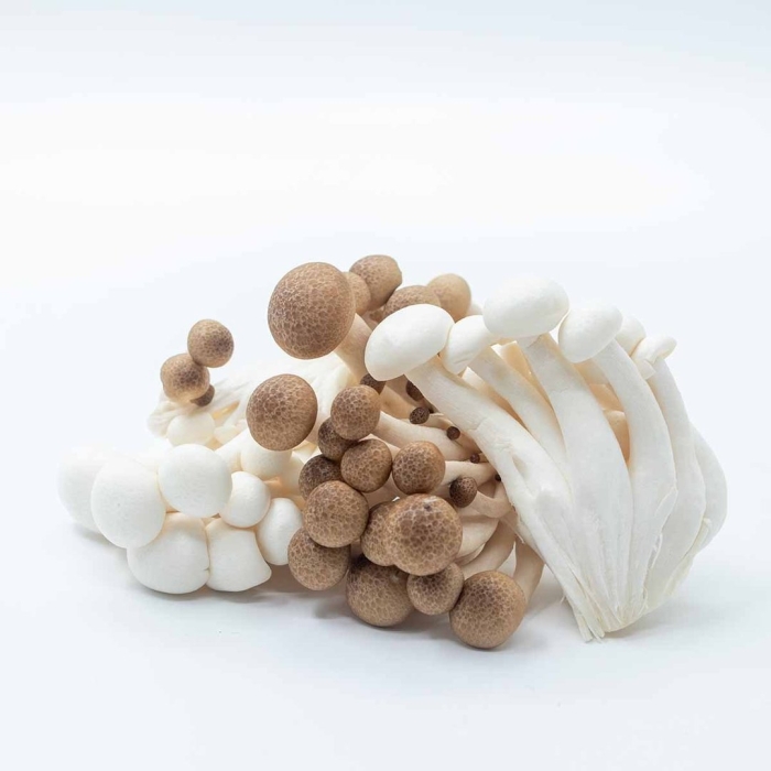 Симедзи гриб