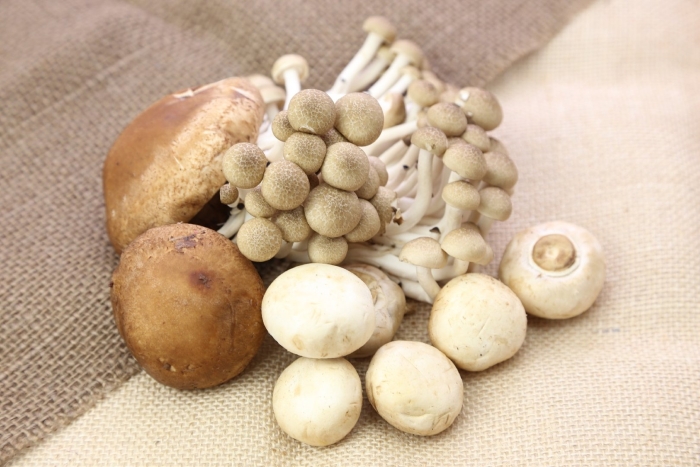 Шимеджи грибы