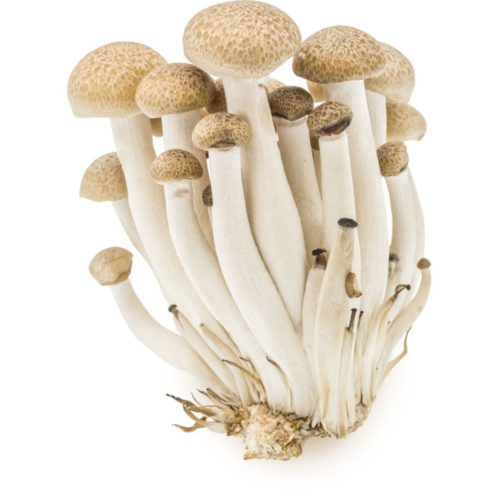 Грибы artfruit шимиджи 150 г