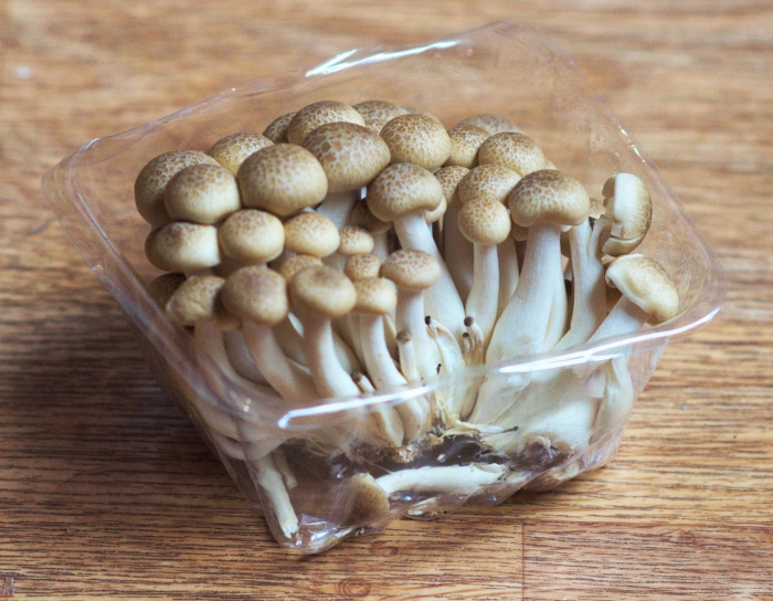 Грибы шимиджи