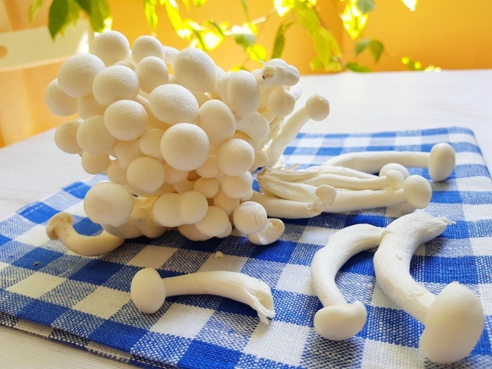 Эноке грибы