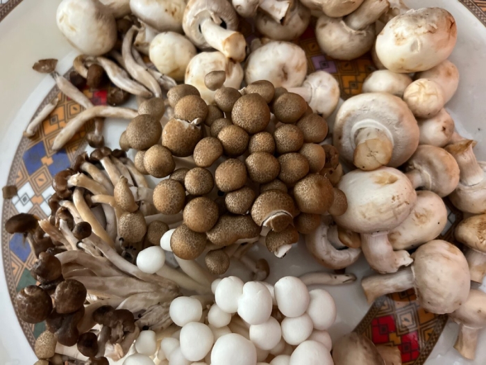 Азиатские грибы