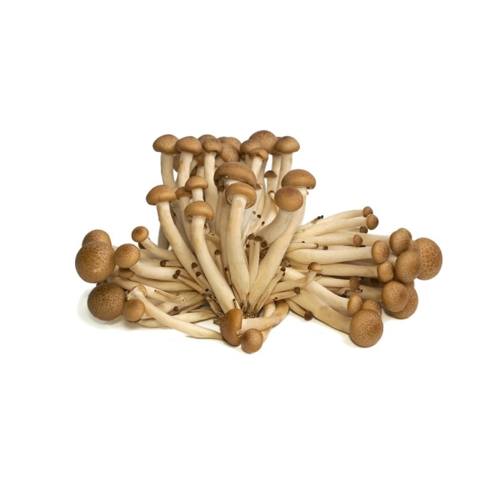 125г грибы шимиджи