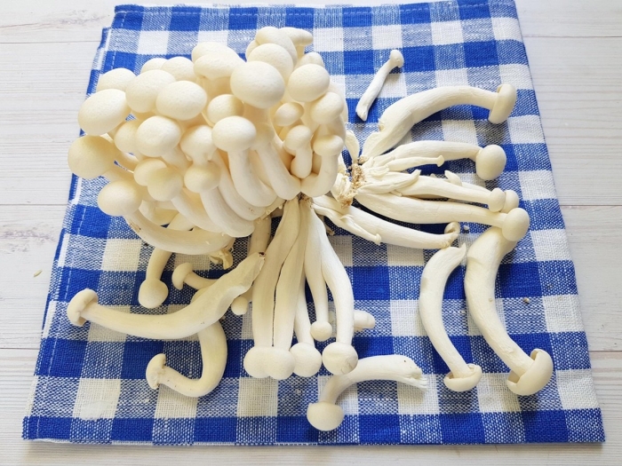 Грибы шимиджи