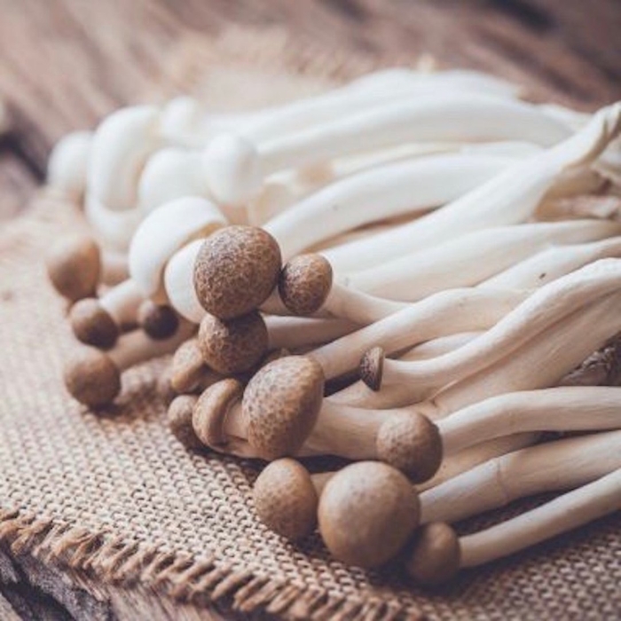 Китайские грибы эноки