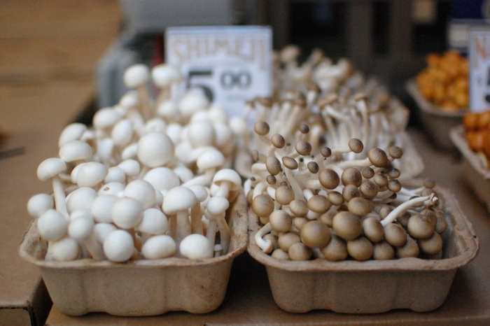 Корейские грибы шимеджи