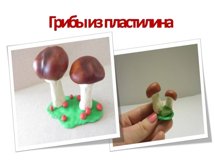 Слепить из пластилина грибы съедобные и несъедобные