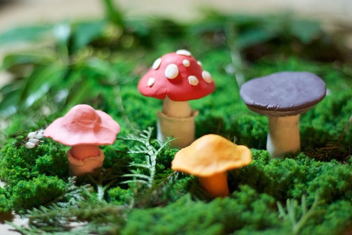 Грибы на поляне