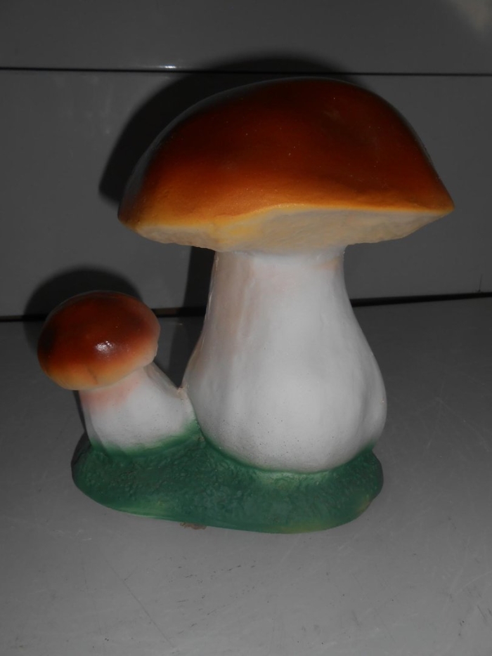 Гриб боровик