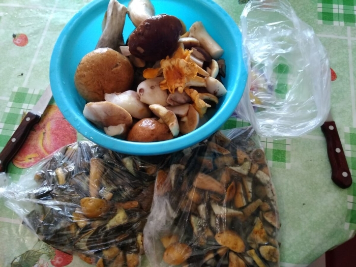 Заморозка лесные грибы