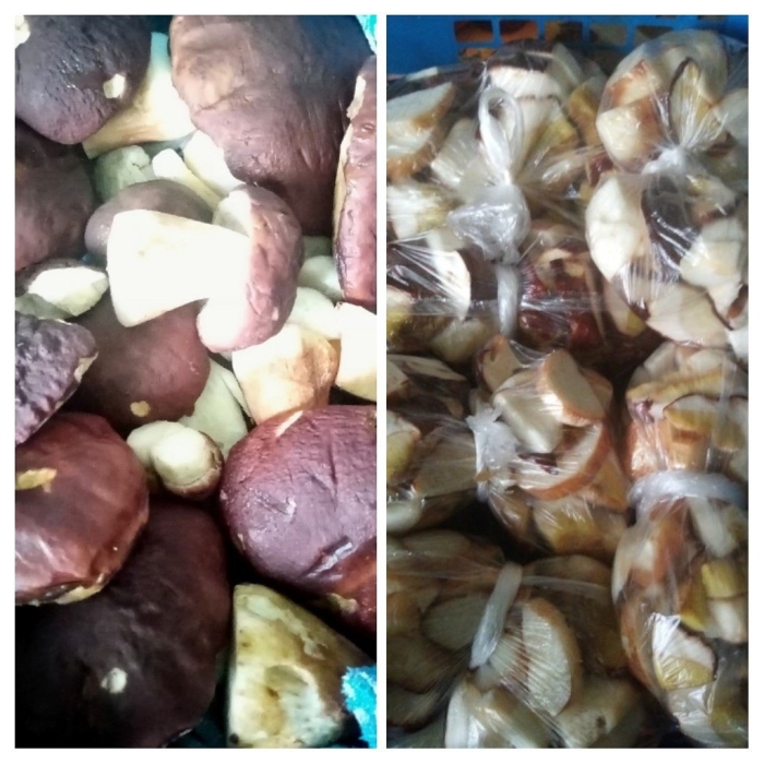 Замораживание грибов