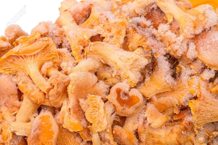 Лисички замороженные