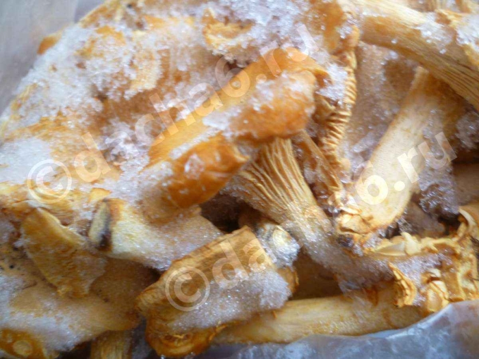 Лисички в сметане