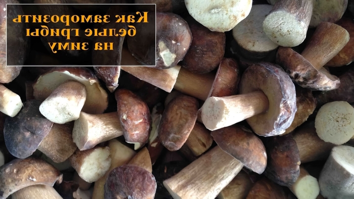 Замороженные грибы