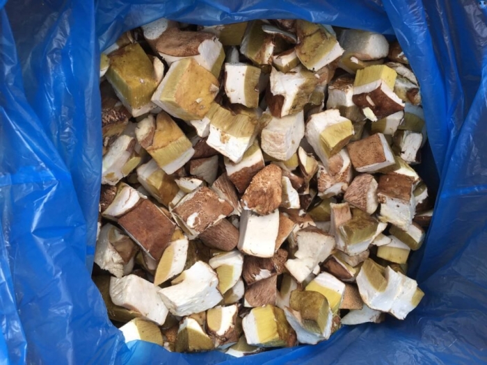 Белый гриб кубик замороженный