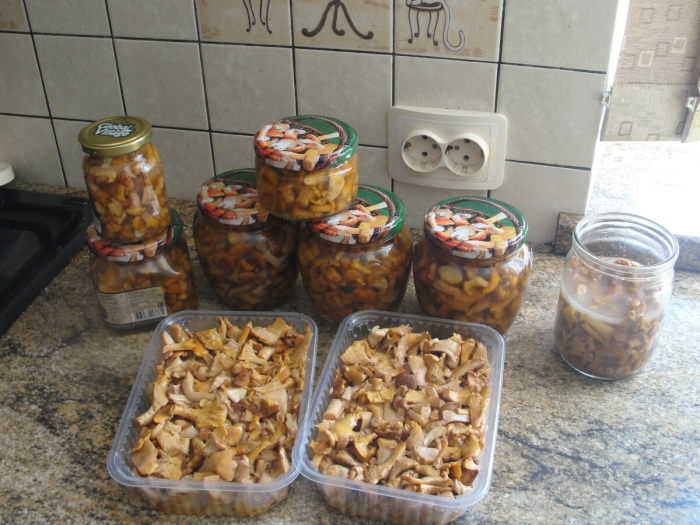 Лисички на зиму рецепты приготовления