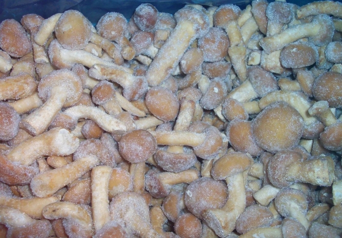 Опята замороженные