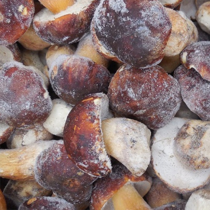 Белый гриб заморозка