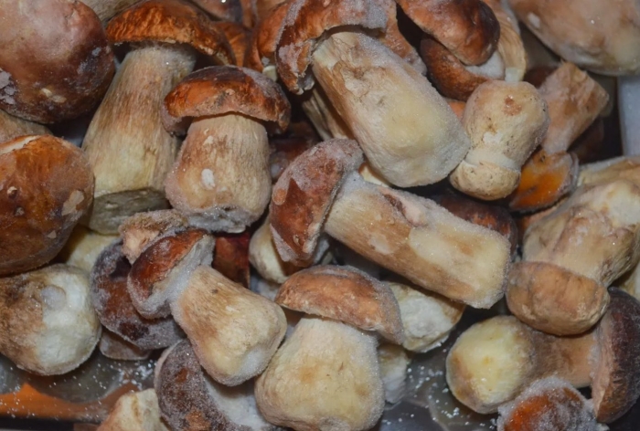 Замороженные грибы