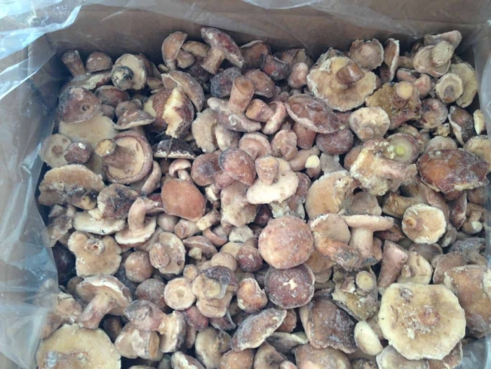 Маслята заморозка