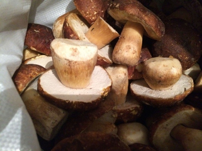 Польский гриб заморозка