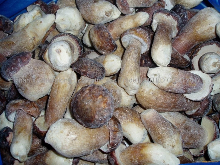 Грибы шиитаке порчини