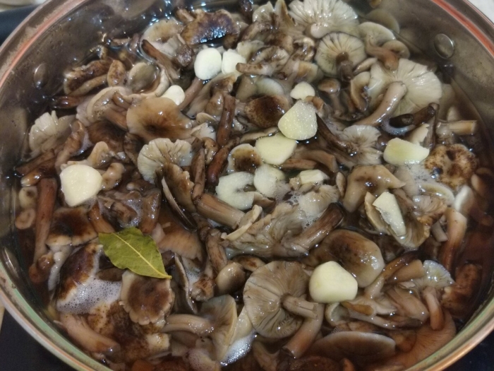 Опята соленые