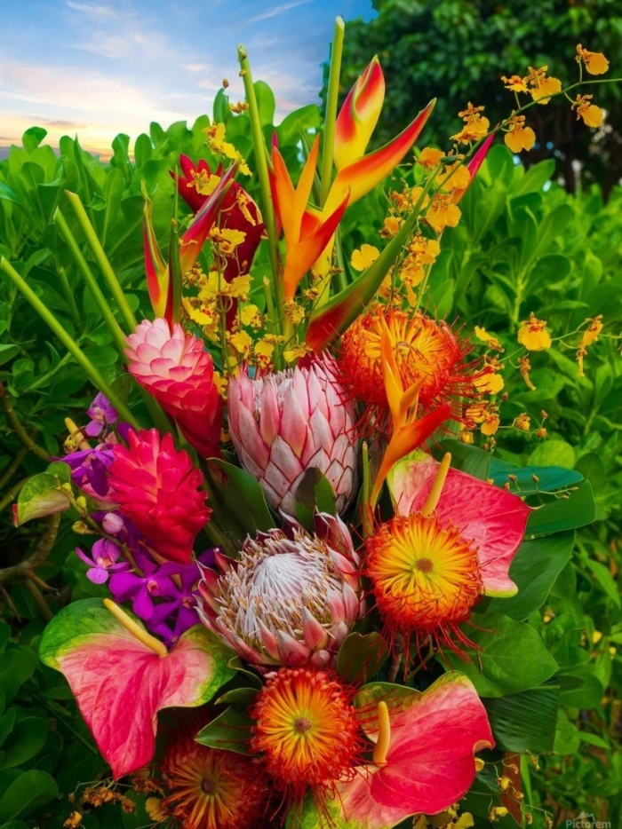 Экзотические букеты