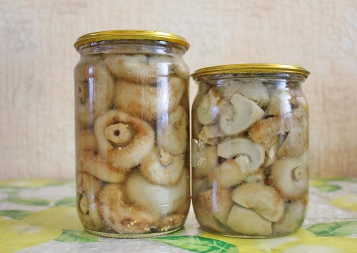 Гриб белый груздь в банках