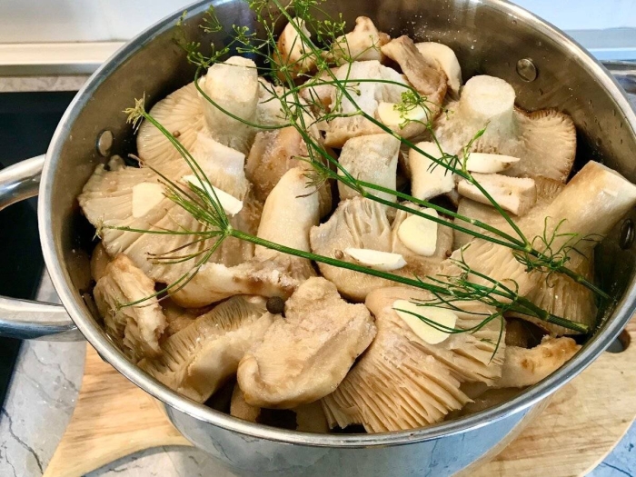 Соленые грузди